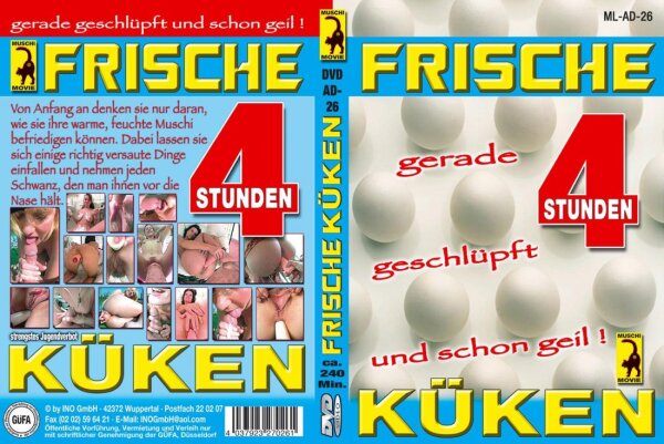 Frische Küken - Gerade Geschlüpft 4H