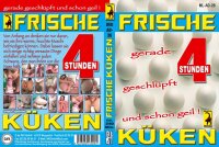Frische Küken - Gerade Geschlüpft 4H