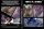 Pet Friendly & Direct Booking (Hotel Hos Tages)