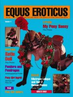 Equus Eroticus # 04 - Ponygirls