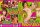 Freches Frisch-Fleisch 4H