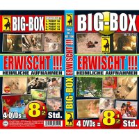 BOX Big-Box Erwischt - heimliche Aufnahmen 4DVDs