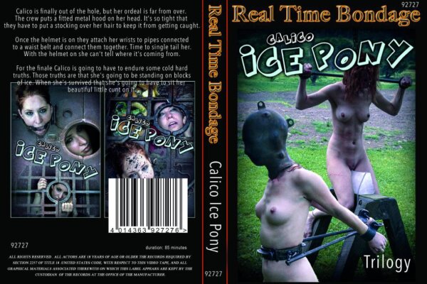 Calico Ice Pony (Real Time Bondage)