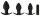 Buttplug-Set | Black Velvets
