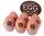 Egg Stronger Package 6er