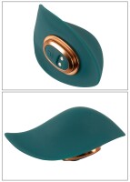 Mini Vibromasseur RC Avec 4 Accessoires | Couples Choice