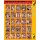 25er Muschi Paket 03 Notgeile Fotzen 60551-60575