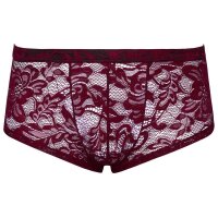 Transparente Pants aus floraler Spitze L