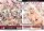 transvisions 12