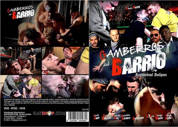 Gamberros Del Barrio (Neighborhood Hooligans)