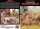Twink Meat: Raw And Uncut