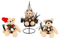 SM-Teddy