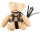 SM-Teddy