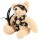 SM-Teddy