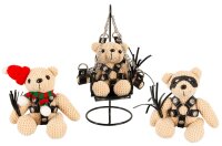 Teddy SM avec un bonnet