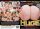 Huge Bustiest Plumpers Ever 2-Disc