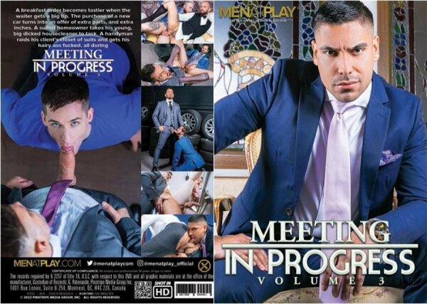 Meeting In Progress 3