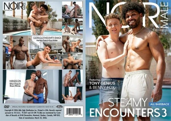 Steamy Encounters 03