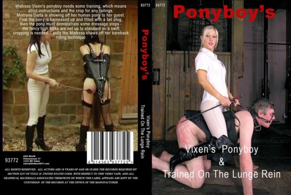 Vixens Ponyboy & Trained On The Lunge Rein (Ponyboys)