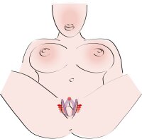 G-spot Labia Spreader | You2Toys