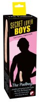 Secret Lover Boys The Poolboy | You2Toys