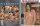 The Riley Reid Experience