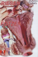 Riesen Fotzen